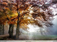 autunno 2011 (11)